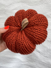 Load image into Gallery viewer, PRE-ORDER Knitted Puimcíní