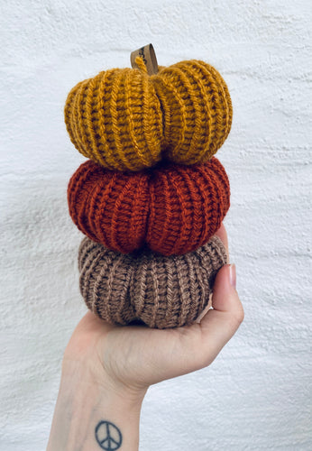 PRE-ORDER Three teeny puimcíní
